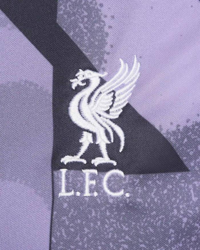 Women Nike All Clothing Liverpool FC Academy Pro Third Space Purplegridironwhite